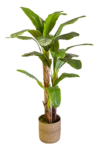 Bananera Artificial, Elaborados con los Mejores Materiales, Ideal para Decoración de hogar, Planta Artificial (180 cm)