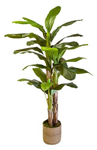 Bananera Artificial, Elaborados con los Mejores Materiales, Ideal para Decoración de hogar, Planta, Árbol Artificial (210 cm)