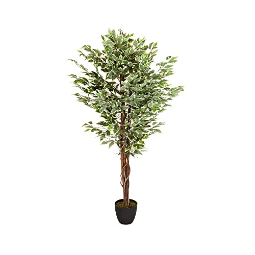 hjh OFFICE Ficus 871000 - Planta artificial (165 cm, 1008 hojas), color verde y blanco