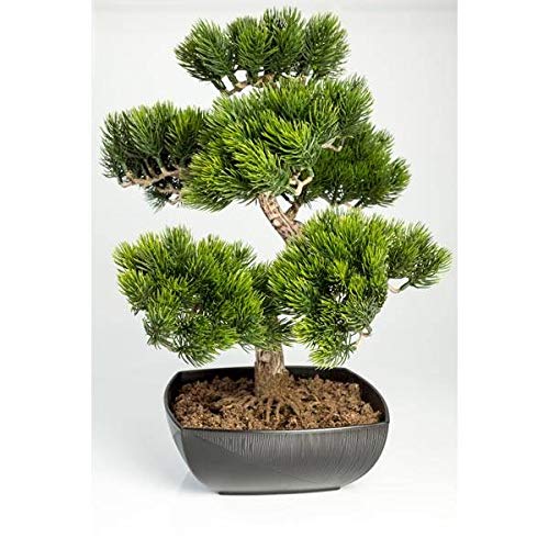 artplants.de Bonsái Pino Artificial en Cuenco con 210 ápices, 50cm, Uso Exterior - Bonsái Decorativo - Bonsai Artificial
