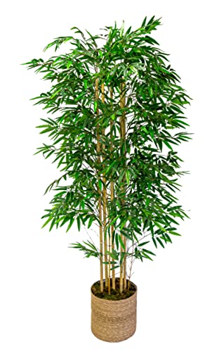 Maia Shop Bambú Cañas Naturales, Ideal para Decoración de Hogar, Árbol, Planta Artificial (180 cm), Materiales Mixtos