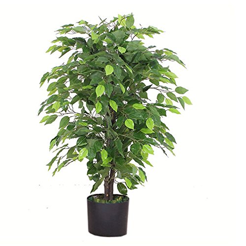 Leaf Design UK - Árbol de ficus Artificial (90 cm), diseño de Flores, Color Negro