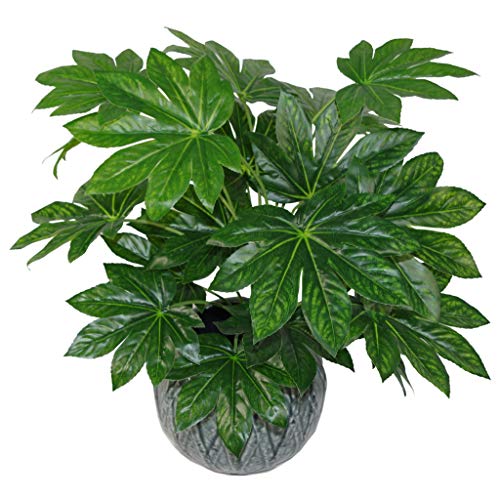 Leaf Planta Artificial Japonesa de 60 cm con diseño de Hojas, Maceta de plástico Negro