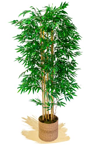 Maia Shop Bambú Cañas Naturales, Ideal para Decoración de Hogar, Árbol, Planta Artificial (180 cm), Materiales Mixtos