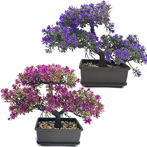 Fycooler Bonsai Artificial Planta falsa en maceta Plantas Artificiales Pino japonés Planta de bonsai para decoración del hogar, oficina / patio, escritorio Decoración de jardín zen de árboles